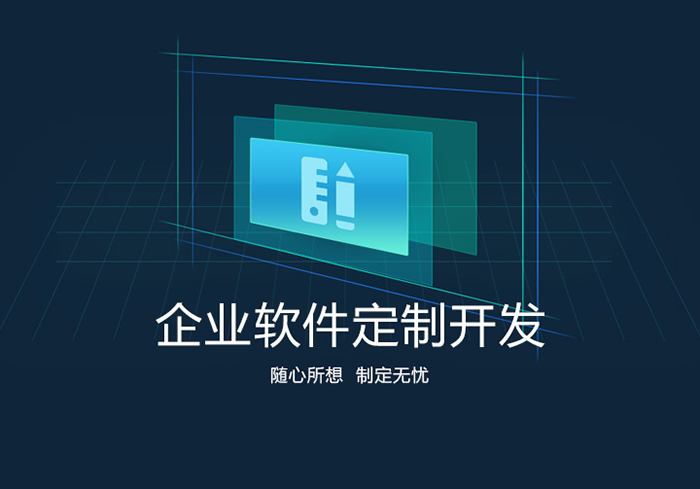 成都定制软件开发2