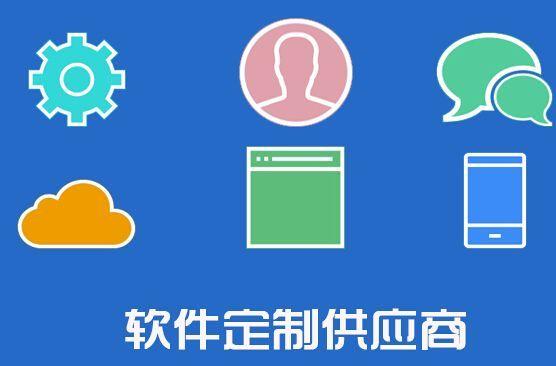 成都定制软件开发3