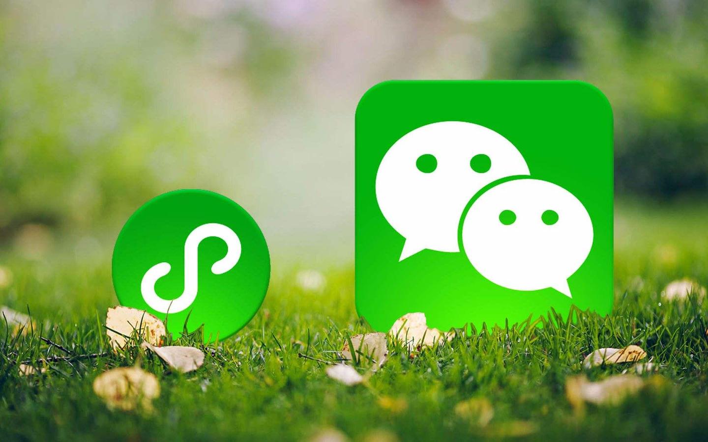 �ɶ�΢��С���򿪷�3